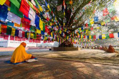 El árbol de Buda, junto al templo de Mayadevi, en Lumbini (Nepal).
