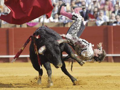 El diestro Julián López 'El Juli' es cogido por el primer toro de su lote, del hierro de Cortes, durante la undécima corrida de abono de la Feria de Abril.