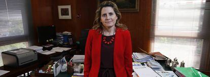 Pilar Jurado, directora del departamento de Aduanas de la Agencia Tributaria, en su despacho en Madrid.
