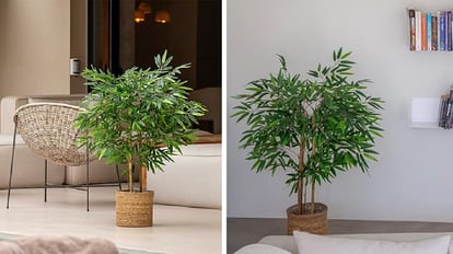 Plantas artificiales realistas: diez ideas para decorar la casa