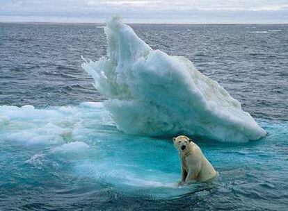 Quince años en el Ártico.