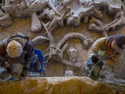 El inédito hallazgo de trampas para mamuts excavadas por humanos hace frente con dificultad a la escasez de recursos del Gobierno de López Obrador