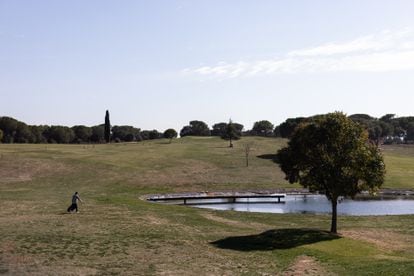 Un hombre pasea por el Club de Golf Montbru de Moià, en el Moianès, este jueves.