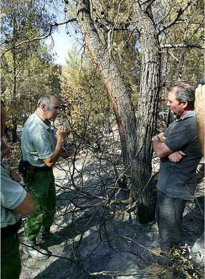 Agentes forestales y el alcalde de Horta, a la derecha, ante el pino en el que cayó el rayó que inició el incendio.