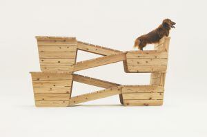 Propuesta del estudio tokiota Atelier Bow-Wow para perros de la raza teckel.