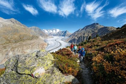 Montañas, valles y glaciares constituyen el conjunto Jungfrau-Aletsch, en Suiza, quizás el mejor ejemplo de la formación de los Altos Alpes. Riquísimo en ecosistemas y con varias etapas de vegetación, incluye la mayor parte de la superficie helada de esta cordillera, y el mayor glaciar de Euroasia.