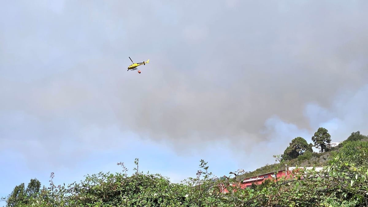 El Cabildo De Tenerife Evacua A Unas 3000 Personas Tras Reactivarse El Incendio Forestal De 1097