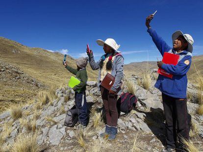 Tres hermanos buscan señal en la cima de una colina para asistir a sus clases virtuales, cerca de su casa en la remota comunidad montañosa de Conaviri en Perú.