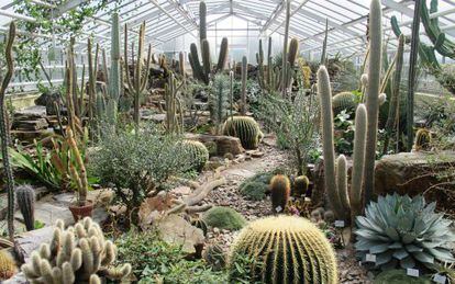 Sala de cactus en el Jardín Botánico de M&uacute;nich. 