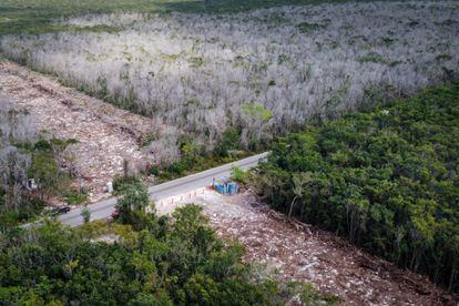 Zona deforestada para la construcción de las vías del tramo 5 del Tren Maya, en Playa del Carmen, el pasado 23 de marzo.