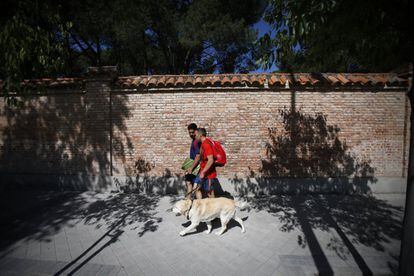 Un jugador de la selección española vuelve al hotel con su perro guía.