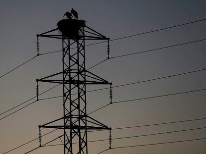 Dos cigüeñas, sobre una torre de tendido eléctrico en Pamplona.