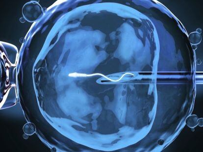 ¿Investigarán con embriones las ‘biotech’ españolas en Reino Unido?