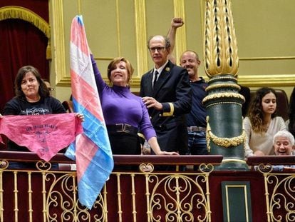 Miembros de entidades trans en la tribuna del Congreso durante el debate de la ley, el jueves.