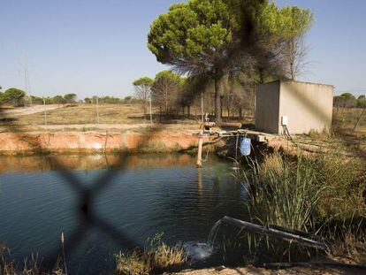 Una balsa ilegal entre los municipios de Lucena del Puerto y Moguer.