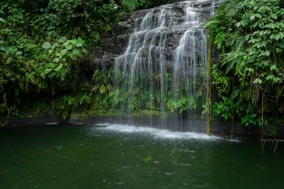 Gran parte del municipio La Colmena, del departamento de Paraguarí, se abastece del agua de este arroyo, por eso está prohibido el baño en la cascada.