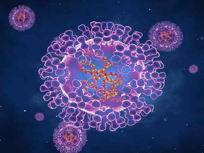 Ilustración del virus que causa la viruela del mono.