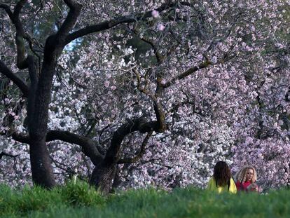 Dos mujeres este sábado junto a los almendros en flor en el parque Quinta de los Molinos de Madrid.