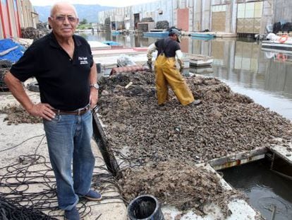 Agusti Bertomeu, junto a sus maltrechos mejillones, en la Bahía de los Alfaques (Tarragona).