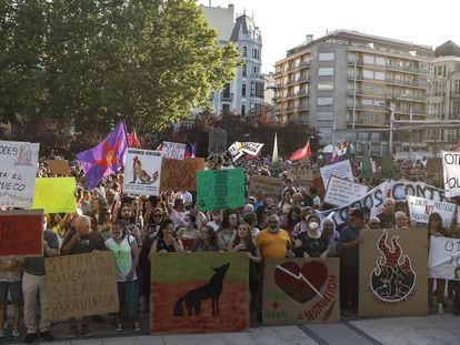 Manifestantes con pancartas protestan por los incendios forestales en Zamora, este jueves.