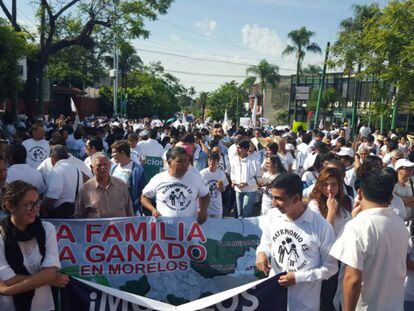 Una manifestaci&oacute;n del Frente Nacional por la Familia, en Morelos. 