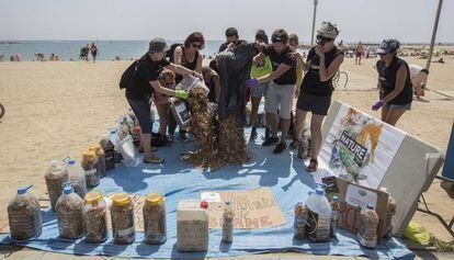 Los activistas después de recoger miles de colillas en la Barceloneta