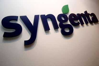 A Syngenta logo is pictured in their office in Singapore