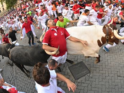 PAMPLONA, 14/07/2023.- Los legendarios toros de la ganadería de Miura, durante el octavo y último encierro de sanfermines este viernes en Pamplona. EFE/Daniel Fernandez
