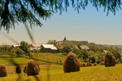 Vidas sencillas, tranquilidad, bellos escenarios de montaña. Al norte de Rumania, cerca de la ciudad de Gura Humorului, en la región histórica de Bucovina, existe una villa fundada exclusivamente por polacos hace cientos de años. Hoy solo quedan unos 200, ya que empezaron a abandonar el país después de la Primera Guerra Mundial, y, sobre todo, a partir de 1947. Plesa es un buen lugar donde aprender, y mucho, sobre cultura, gastronomía y tradiciones polacas, empezando por el idioma, ya que se sigue escuchando polaco muy habitualmente, a menos que haya invitados rumanos.