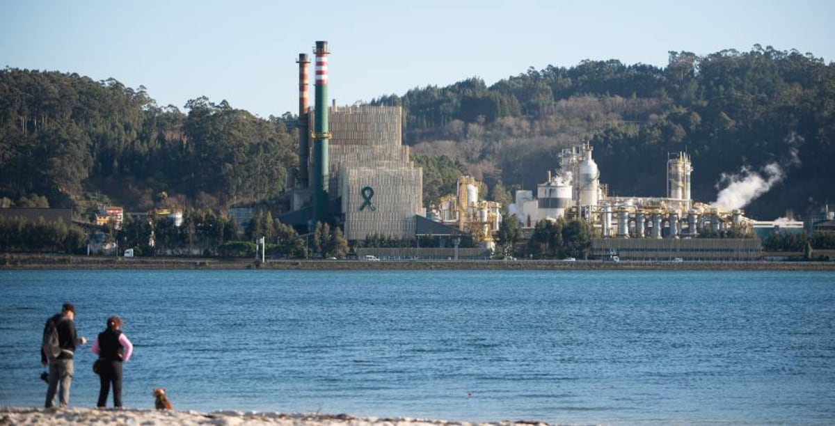 El Supremo se tragó la prórroga de Ence en Pontevedra pesa una ley “contradictoria y farragosa” |  Economía