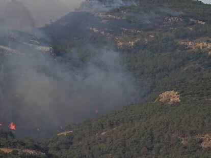Incendio forestal en el monte Gurugú (Melilla).