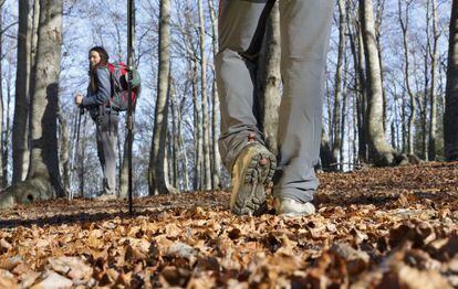 Excursionistas en el parque natural del Montseny, en la provincia de Barcelona.