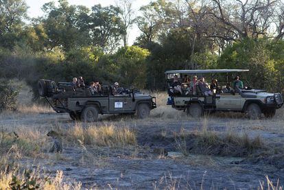 Los coches de los safaris fotográficos en el Delta del Okavango. El número de personas que pueden entrar a su parte central está limitado.