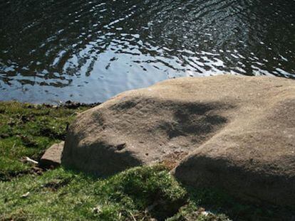 Petroglifo reticulado de Langoira, descubierto junto al embalse, en Castelo (Cervo). 