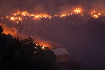 Casas afectadas por el incendio en el cerro Forestal de Viña del Mar (Chile), este viernes. 