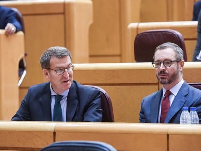 El presidente del PP, Alberto Núñez Feijóo (izquierda), y el portavoz popular en el Senado, Javier Maroto, este miércoles en el Senado.
