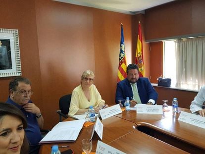 La consejera de Sanidad, Ana Barceló, en una reunión el pasado viernes en Castellón. 