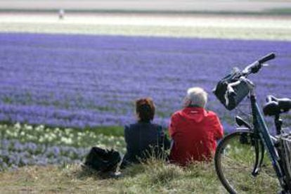 Dos turistas hacen una parada para admirar un campo de tulipanes en Lisse (Holanda). EFE/Archivo
