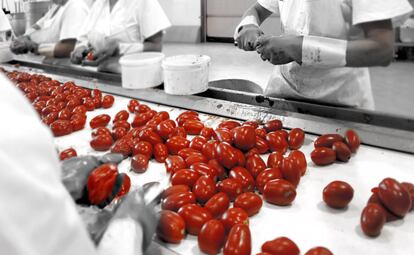 Preparando el tomate para hacer mermelada.