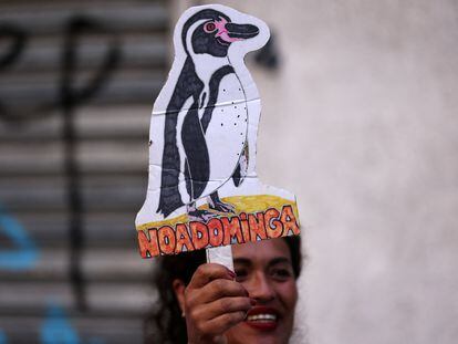Ambientalista sostiene un cartel de protesta contra la mina Dominga en Santiago de Chile el 18 de enero 2023