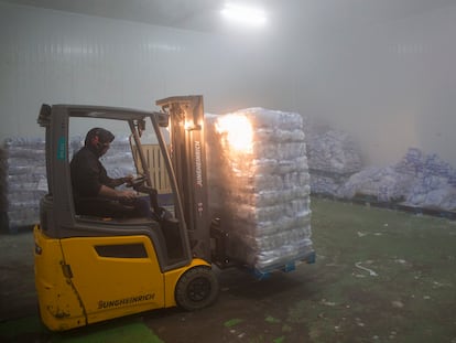 Un trabajador trasladaba la semana pasada un palé de bolsas de hielo en la fábrica de hielo Hocosol de Málaga.