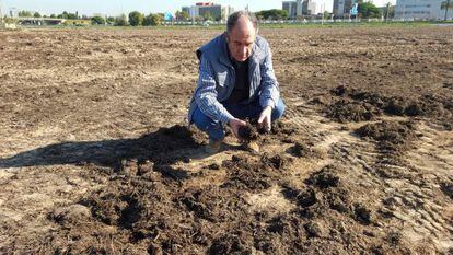Lluís Parés, en uno de los campos abonados.