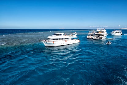 Barcos de buceadores amarrados en boyas en la zona de Hurghada, Egipto.