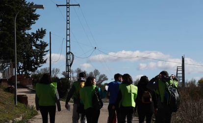 Un grupo de voluntarios de LifeFollowers de la organización SeoBirdlife, en Algete.