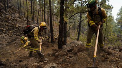 Personal del operativo Brifor realiza labores de perimetrado de puntos calientes en la zona de El Lagar, en el municipio de La Guancha, en el incendio que afecta desde el jueves a Tenerife.