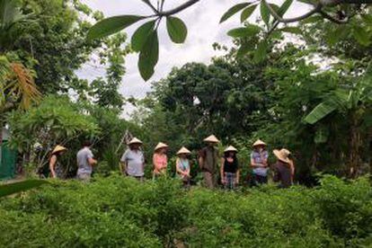 Los cursos de cocina de Asia Scenic, en Chiang Mai, incluyen visitas a granjas orgánicas.
