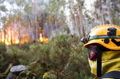 Un brigadista durante un incendio forestal en Galicia. 