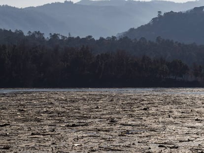 Fotogaleria | La neteja del pantà de Sau després del pas del temporal Glòria