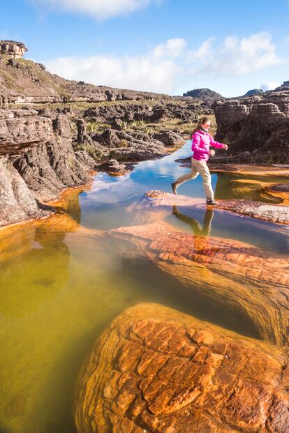 Mount Roraima or Roraima tepuy, in the Canaima National Park (Venezuela).