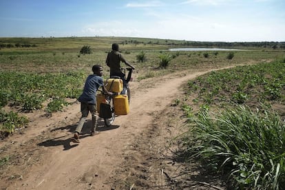 Casi 760 millones de personas no tienen acceso a agua limpia y potable. Y la escasez afecta a más del 40% de la población mundial, según las Naciones Unidas. Cada día, cerca de 1.000 niños mueren a causa de enfermedades diarreicas prevenibles relacionadas con el agua y el saneamiento. La República Democrática del Congo es uno de los tres países del mundo donde más del 50% de la población carece de una fuente segura, según Unicef. Muchos, como ocurre en Ngandanjika (en la imagen), tienen que transportar el vital elemento en bidones desde las fuentes o pozos hasta sus casas.  
